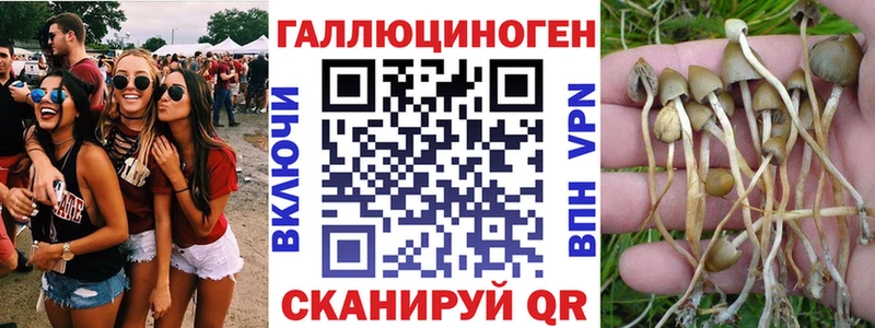 Галлюциногенные грибы мицелий  что такое   Симферополь 